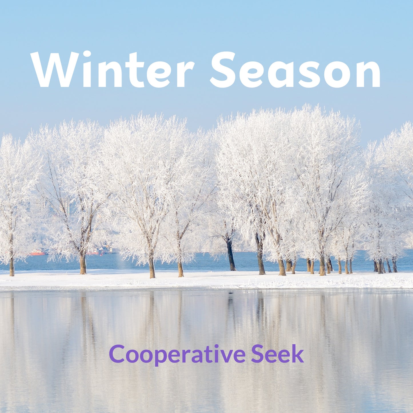 Entire Cooperative Seek Seasonal Collection