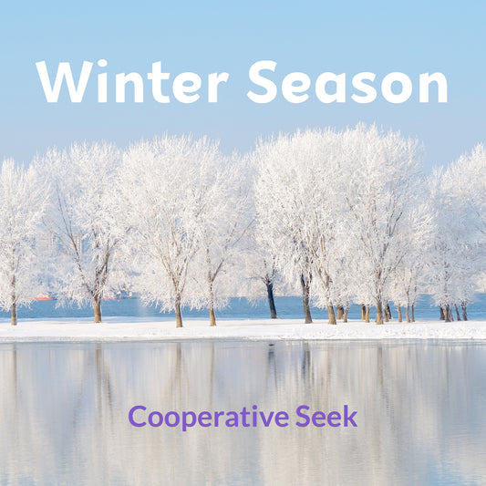 Winter Cooperative Seek